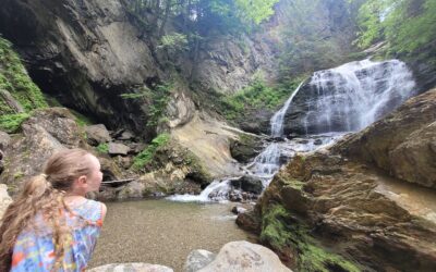 Moss Glen Falls