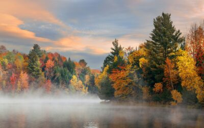 Waterbury Reservoir