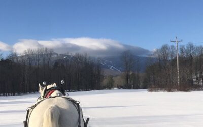 Sleigh Rides in Stowe