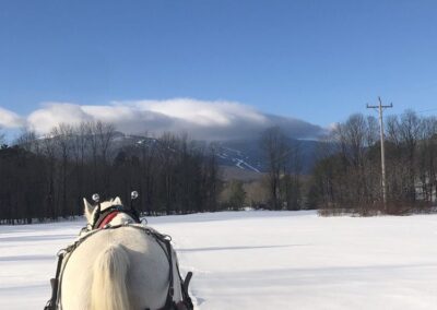 Sleigh Rides in Stowe