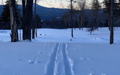 Cross Country Skiing