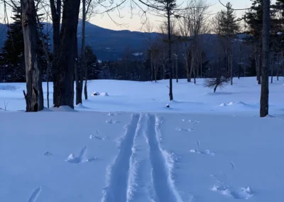 Cross Country Skiing