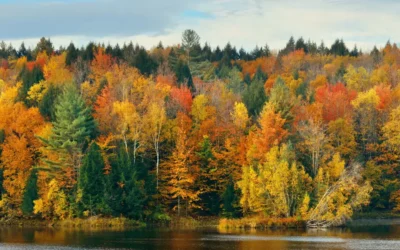 Experience the Spectacular Fall Foliage in Stowe, VT